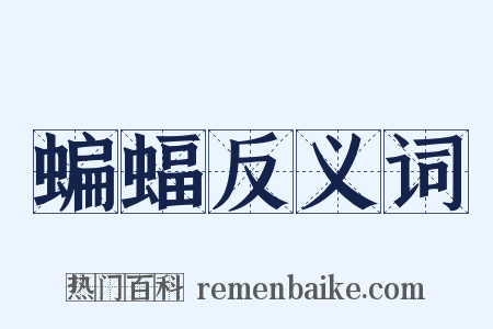 蝙蝠反义词是什么意思的图片